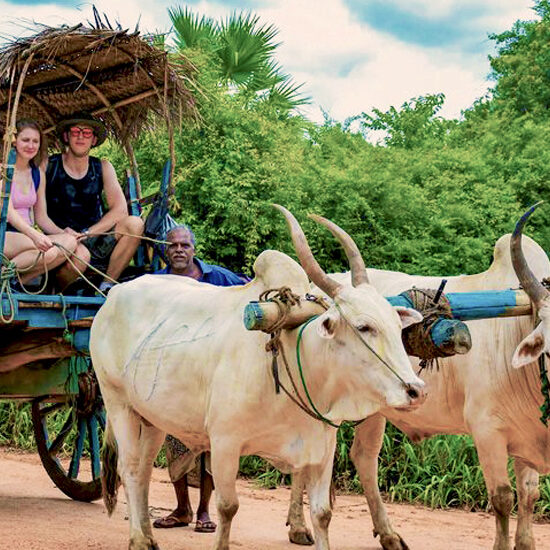 Bullock Cart ride