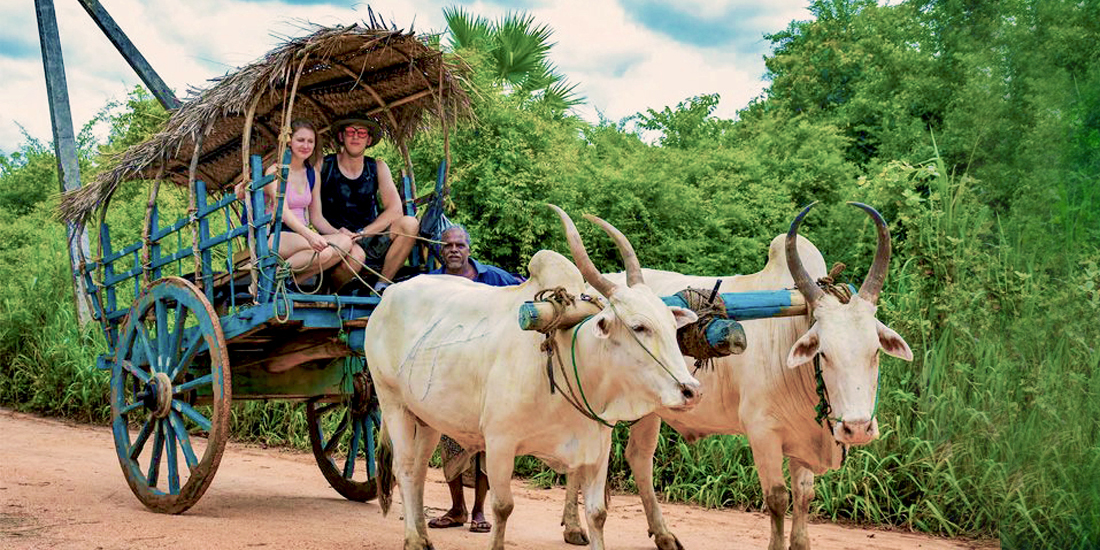 Bullock Cart ride