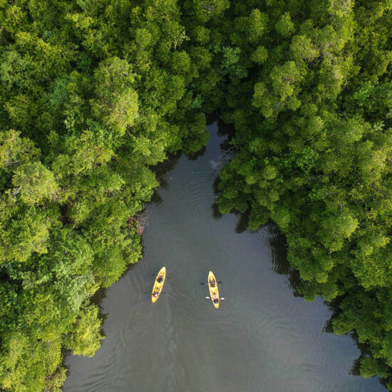 Kayaking Tour