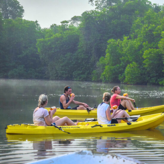 Kayaking Tour