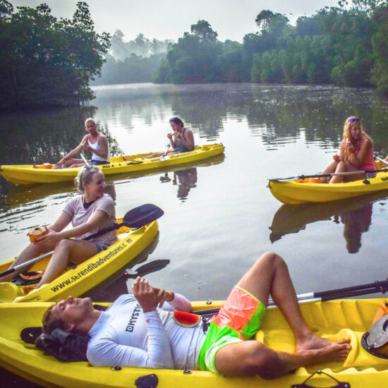 Kayaking Tour